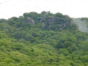 奥工石山（竜王山）の紅簾石珪質片岩大露頭部
