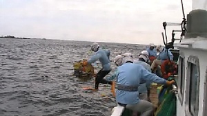 鳥羽・志摩の海女による伝統的素潜り漁技術