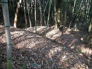 馬ヶ岳城跡 うまがたけじょうあと