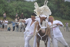 吾妻神社の馬だし祭り