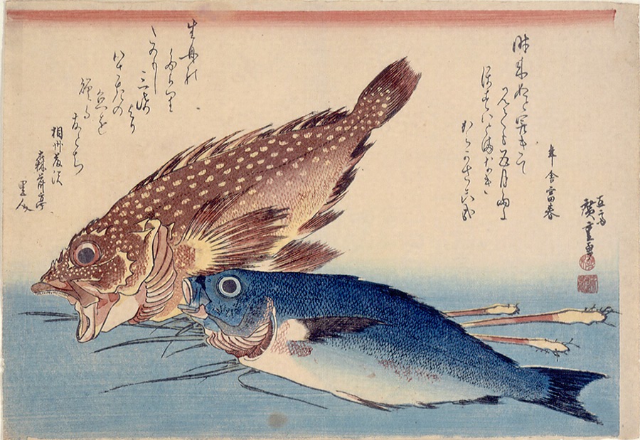 魚づくし かさご、いさきに薑 文化遺産オンライン