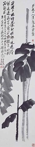芭蕉図 為昇龍山人作
