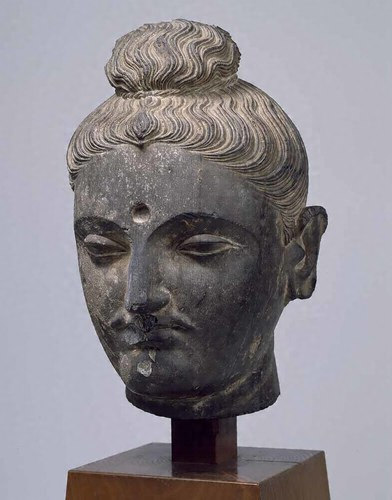 ガンダーラ仏教彫刻　仏陀頭部