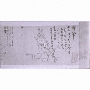 探幽縮図 鷹図巻 タンユウシュクズ タカズカン