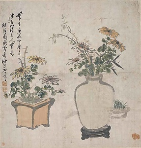 菊花図
