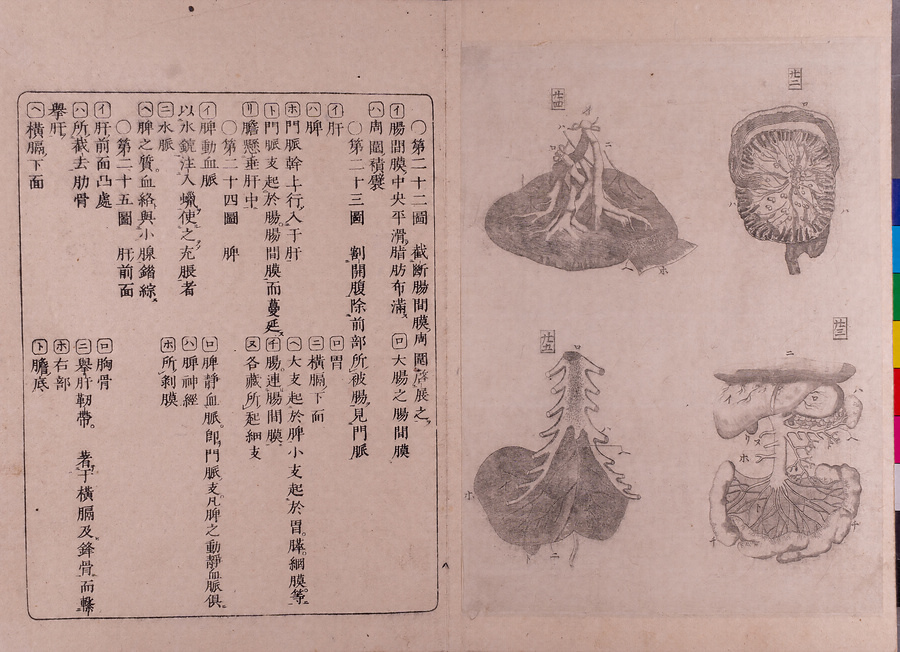 医範提綱図解 文化遺産オンライン