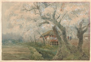 桜の茶屋