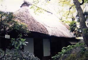 白雲洞茶苑白雲洞 はくうんどうちゃえんはくうんどう