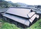 キッコ石石井家住宅主屋