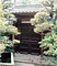 加田家住宅表門