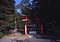 筑摩神社本殿
