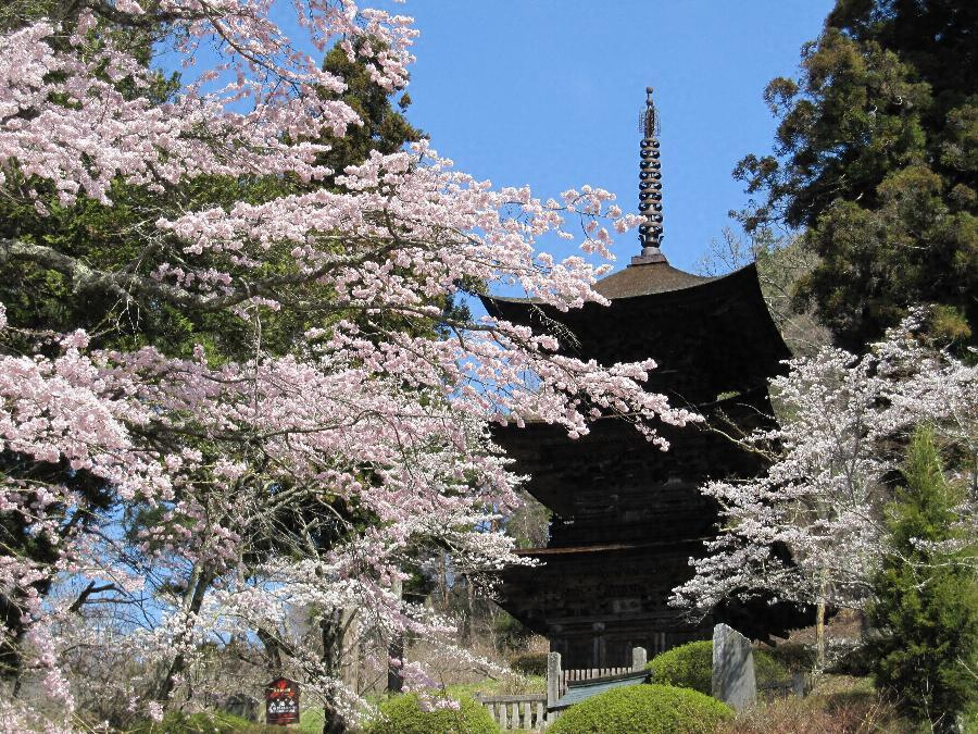 大法寺三重塔 文化遺産オンライン