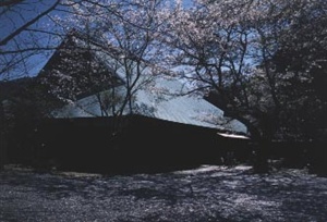 江川家住宅（静岡県田方郡韮山町） 東蔵