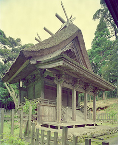 玉若酢命神社 本殿