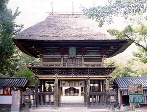 青井阿蘇神社 楼門