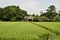 和井田家住宅（埼玉県八潮市大字八條） 長屋門