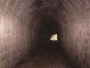旧魚梁瀬森林鉄道施設 エヤ隧道