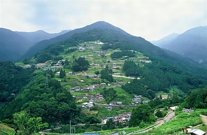 三好市東祖谷山村落合