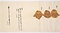 類秘抄