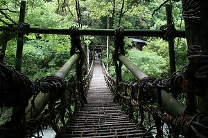 祖谷の蔓橋
