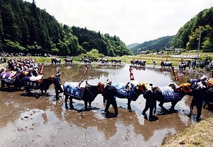 塩原の大山供養田植 しおはらのだいせんくようたうえ