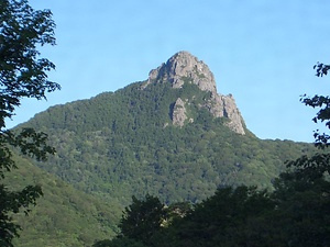 縫道石山・縫道石の特殊植物群落