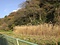 鶴岡八幡宮境内