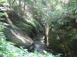 山科の大桑層化石産地と甌穴