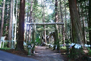 三岳のブッポウソウ繁殖地 みたけのぶっぽうそうはんしょくち