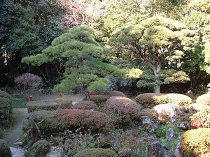 柴屋寺庭園