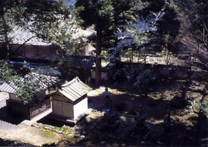 清滝寺京極家墓所