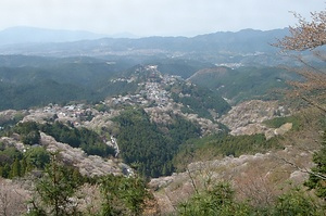 吉野山