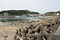 白浜の泥岩岩脈