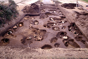 安国寺甕棺墓群