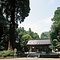 狭野神社ブッポウソウ繁殖地