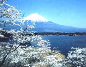 富士山 文化遺産オンライン
