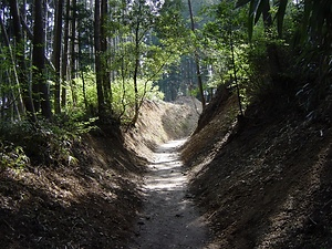 大峯奥駈道 おおみねおくがけみち