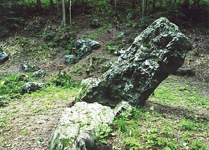 京極氏遺跡<BR/>                  京極氏城館跡<BR/>弥高寺跡