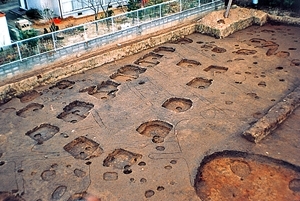 仙台郡山官衙遺跡群<br />
　郡山官衙遺跡<br />
　郡山廃寺跡