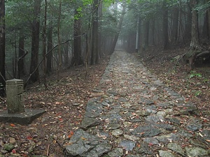 阿波遍路道<br />
　大日寺境内<br />
　地蔵寺境内<br />
　切幡寺境内<br />
　焼山寺道<br />
　一宮道<br />
　常楽寺境内<br />
　恩山寺道<br />
　立江寺道<br />
　鶴林寺道<br />
　鶴林寺境内<br />
　太龍寺道<br />
　かも道<br />
　太龍寺境内<br />
　いわや道<br />
　平等寺道<br />
　平等寺境内<br />
　雲辺寺道