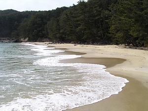 十八鳴浜及び九九鳴き浜