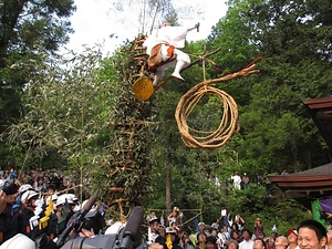 大善寺の藤切り祭