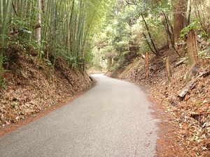 西南戦争遺跡