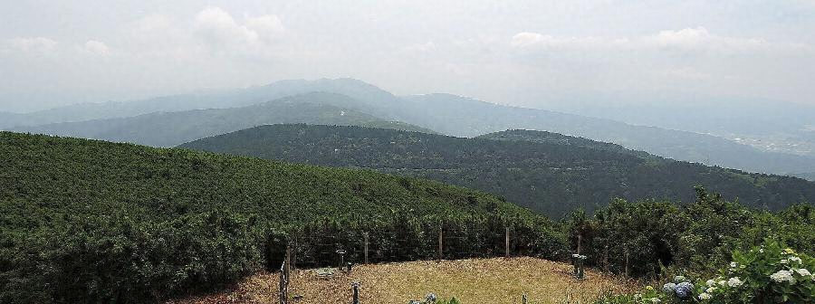 十国峠（日金山） 文化遺産オンライン