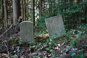 伊予遍路道<br />
　観自在寺道<br />
　稲荷神社境内及び龍光寺境内<br />
　仏木寺道<br />
　明石寺道<br />
　明石寺境内<br />
　大寶寺道<br />
　大寶寺境内<br />
　岩屋寺道<br />
　岩屋寺境内<br />
　浄瑠璃寺道<br />
　浄瑠璃寺境内<br />
　八坂寺境内<br />
　浄土寺境内<br />
　繁多寺境内<br />
　横峰寺道<br />
　横峰寺境内<br />
　三角寺奥之院道 いよへんろみち<br />
　かんじざいじみち<br />
　いなりじんじゃけいだいおよびりゅうこうじけいだい<br />
　ぶつもくじみち<br />
　めいせきじみち<br />
　めいせきじけいだい<br />
　だいほうじみち<br />
　だいほうじけいだい<br />
　いわやじみち<br />
　いわやじけいだい<br />
　じょうるりじみち<br />
　じょうるりじけいだい<br />
　やさかじけいだい<br />
　じょうどじけいだい<br />
　はんたじけいだい<br />
　よこみねじみち<br />
　よこみねじけいだい<br />
　さんかくじおくのいんみち