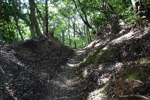 伊予遍路道<br />
　観自在寺道<br />
　稲荷神社境内及び龍光寺境内<br />
　仏木寺道<br />
　明石寺道<br />
　明石寺境内<br />
　大寶寺道<br />
　大寶寺境内<br />
　岩屋寺道<br />
　岩屋寺境内<br />
　浄瑠璃寺道<br />
　浄瑠璃寺境内<br />
　八坂寺境内<br />
　浄土寺境内<br />
　繁多寺境内<br />
　横峰寺道<br />
　横峰寺境内<br />
　三角寺奥之院道 いよへんろみち<br />
　かんじざいじみち<br />
　いなりじんじゃけいだいおよびりゅうこうじけいだい<br />
　ぶつもくじみち<br />
　めいせきじみち<br />
　めいせきじけいだい<br />
　だいほうじみち<br />
　だいほうじけいだい<br />
　いわやじみち<br />
　いわやじけいだい<br />
　じょうるりじみち<br />
　じょうるりじけいだい<br />
　やさかじけいだい<br />
　じょうどじけいだい<br />
　はんたじけいだい<br />
　よこみねじみち<br />
　よこみねじけいだい<br />
　さんかくじおくのいんみち