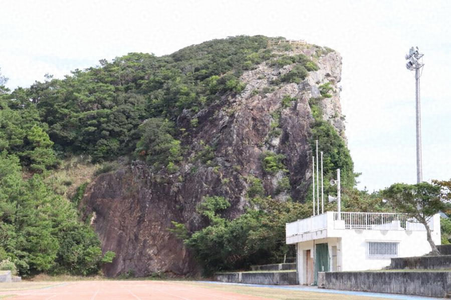 伊平屋島のウバメガシ群落 文化遺産オンライン