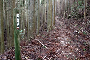 伊勢本街道