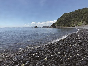 黒ヶ浜及びビシャゴ岩