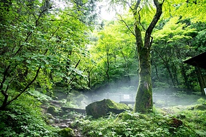 上林の風穴